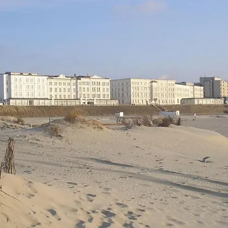 Kleiner Seehund Comfortable