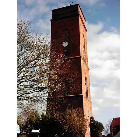 Kleiner Seehund Comfortable