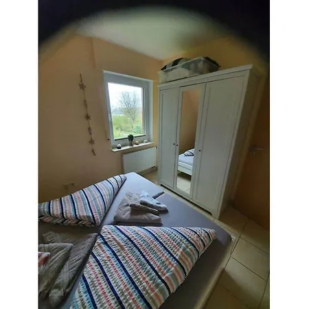 Kleiner Seehund Comfortable Borkum