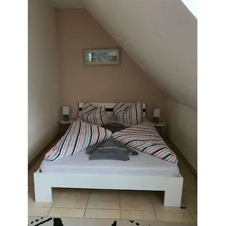 Kleiner Seehund Comfortable *